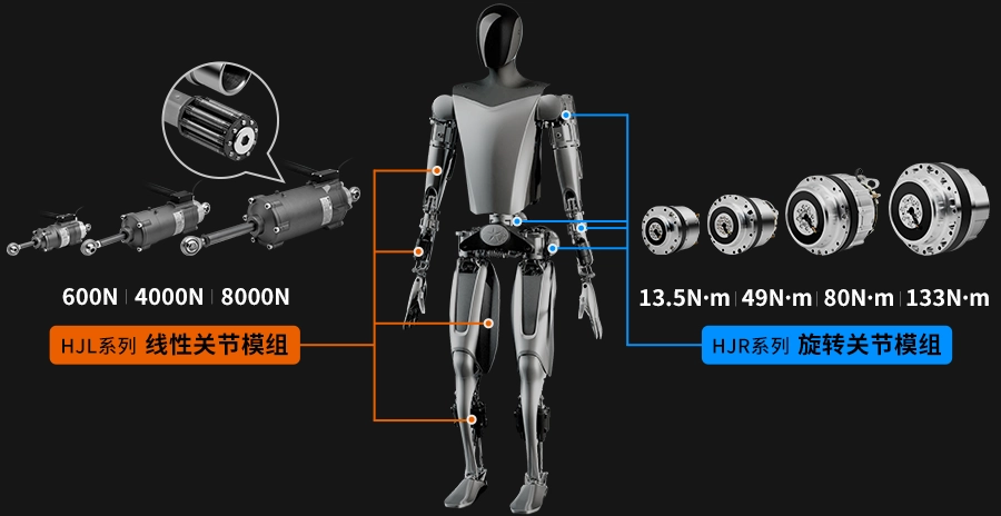 人形机器人关节