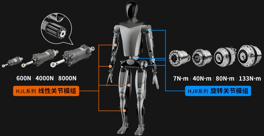 人形机器人关节