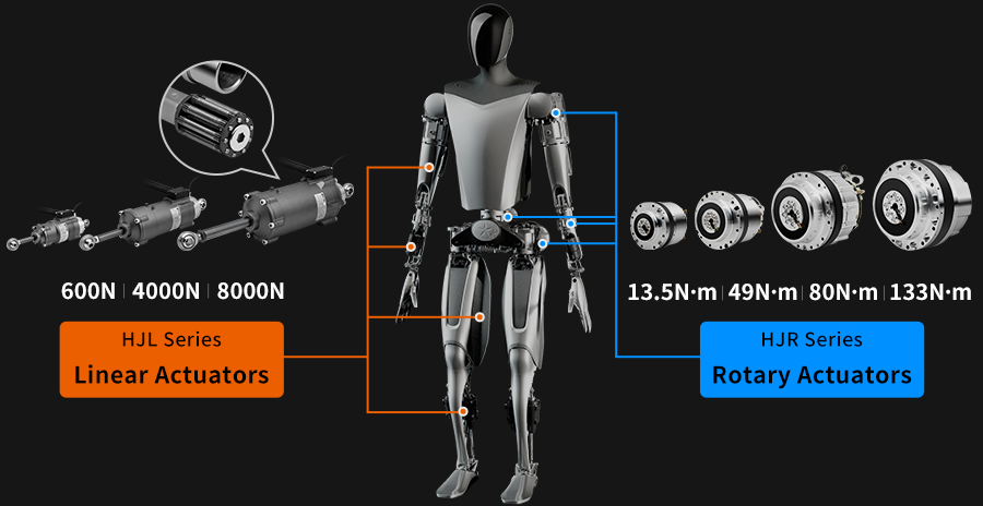 Humanoid Robot Actuator