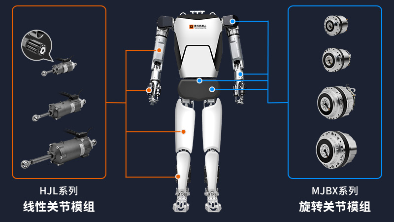 人形机器人