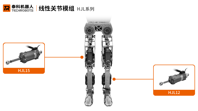 人形机器人腿部