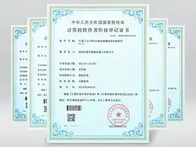 Computer Software Copyright x12